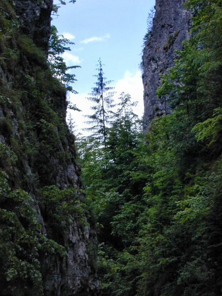 DSCN5601 (web).jpg